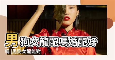 龍女狗男|屬龍女和屬狗男相配嗎